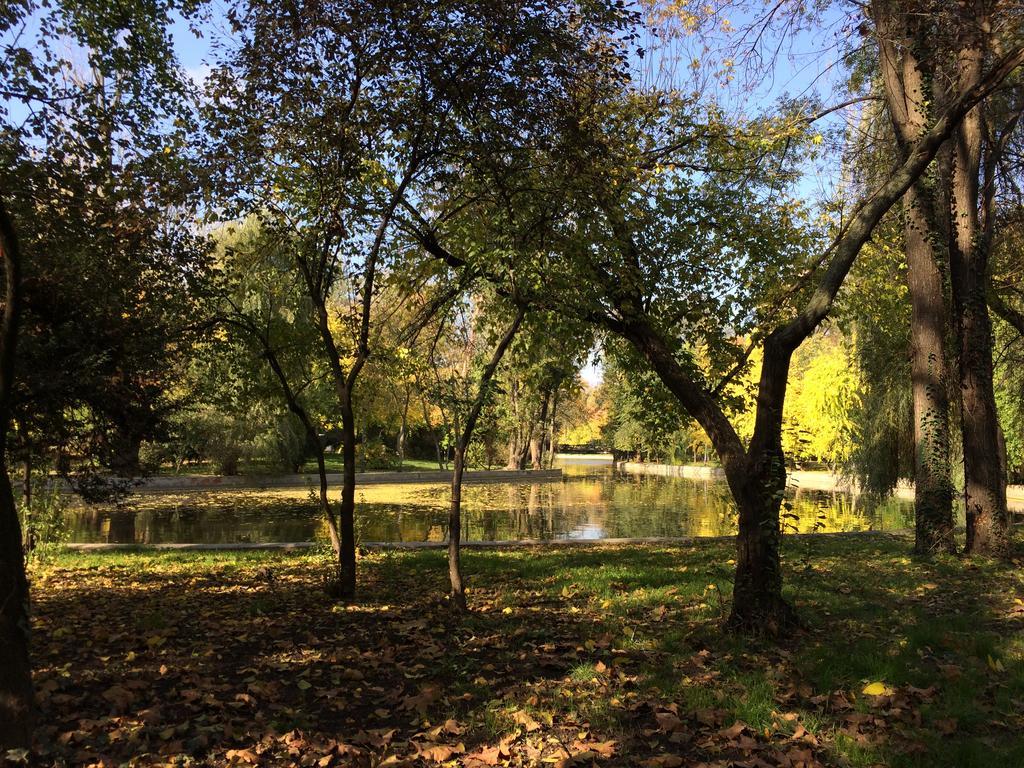 Cismigiu Garden Studio Leilighet Bucureşti Eksteriør bilde